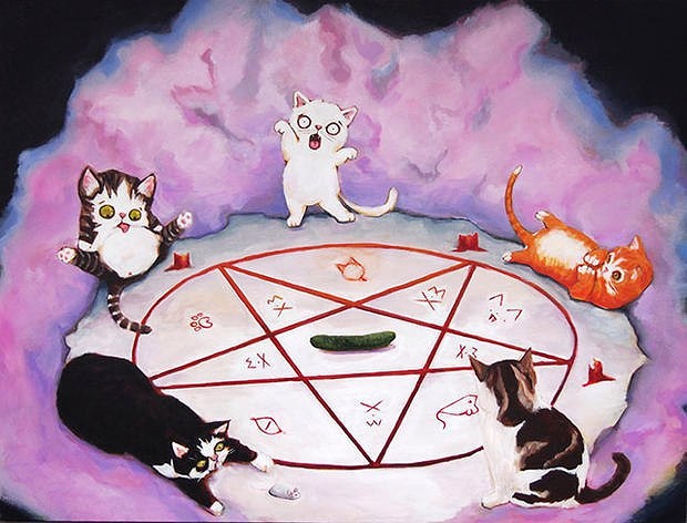 Коты