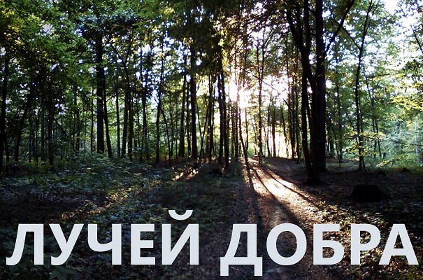 Лучей Добра