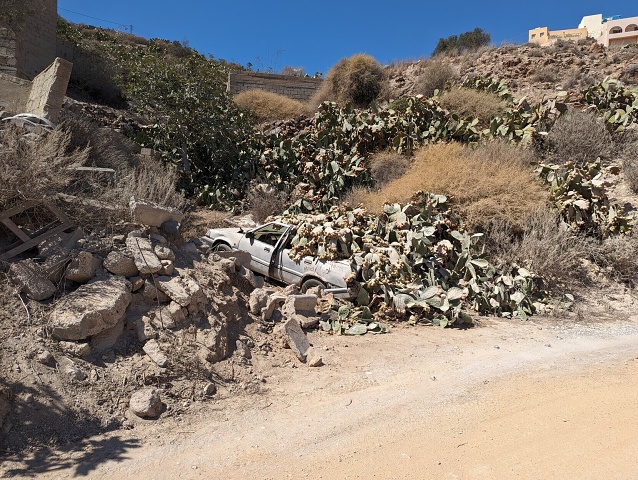 Pickup Cacti 18 Sep 2023